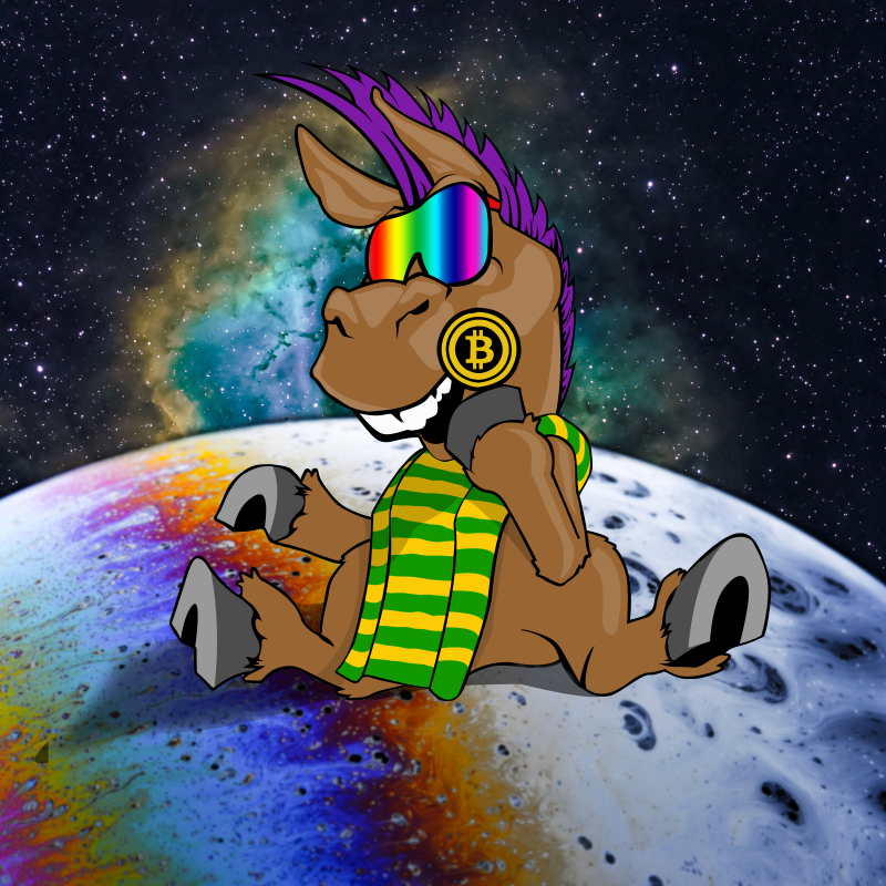 DeFi Space Donkeys