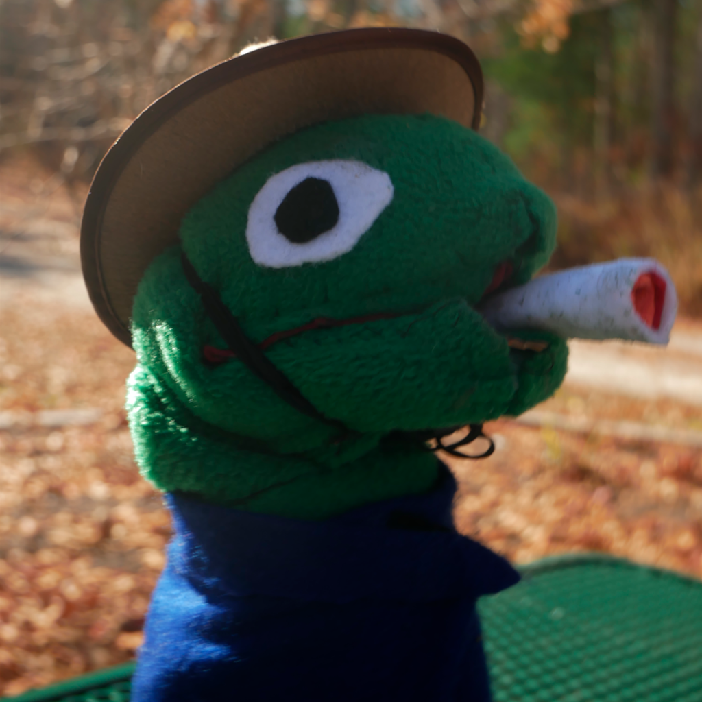 Sock Puppets