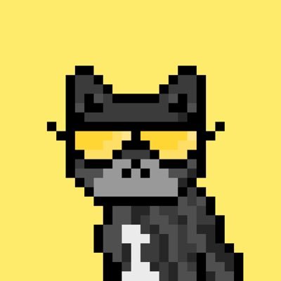 Solana Strays
